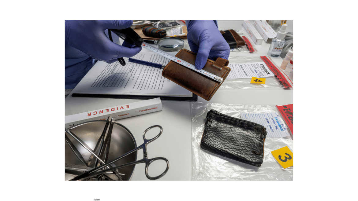 Medical student engaging in evidence-based learning for healthcare education