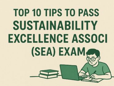 Flat-style digital illustration of a student preparing for the Sustainability Excellence Associate exam with study materials.