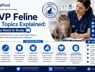 PrepPool infographic explaining ABVP Feline Certification exam topics, including medicine, surgery, dentistry, behavior, pharmacology, emergency care, nutrition, and practical study tips.