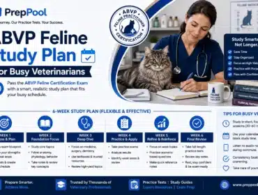 PrepPool infographic featuring a practical ABVP Feline Certification study plan for busy veterinarians, including a 6-week study schedule, time management tips, and exam preparation strategies.